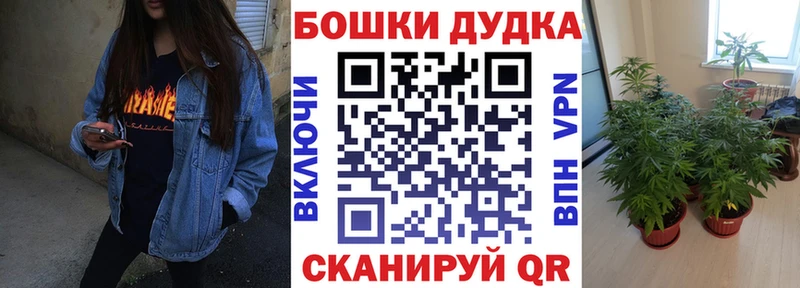 Каннабис SATIVA & INDICA  где продают   Кизилюрт 